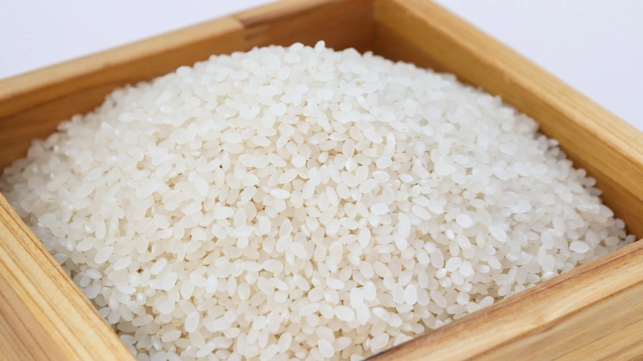 Мианма планира временно да ограничи износа на ориз за да