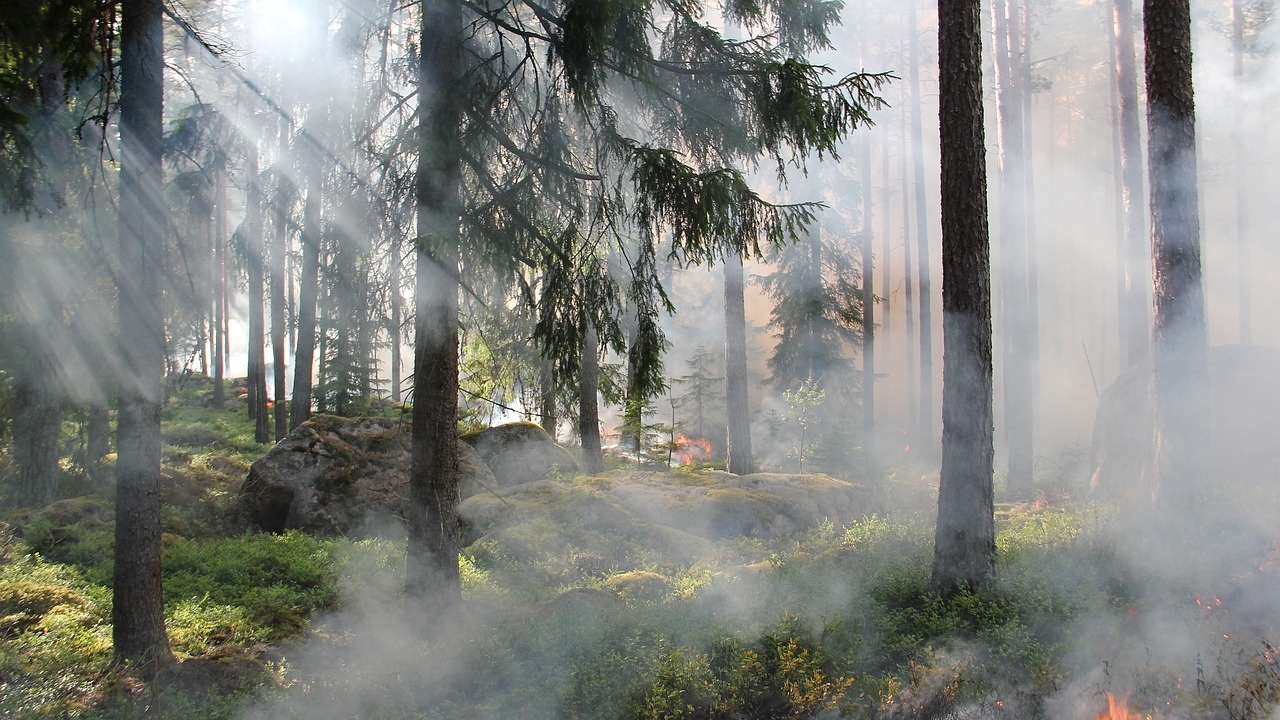 Горският пожар край Чепеларе продължава да гори трети ден, според
