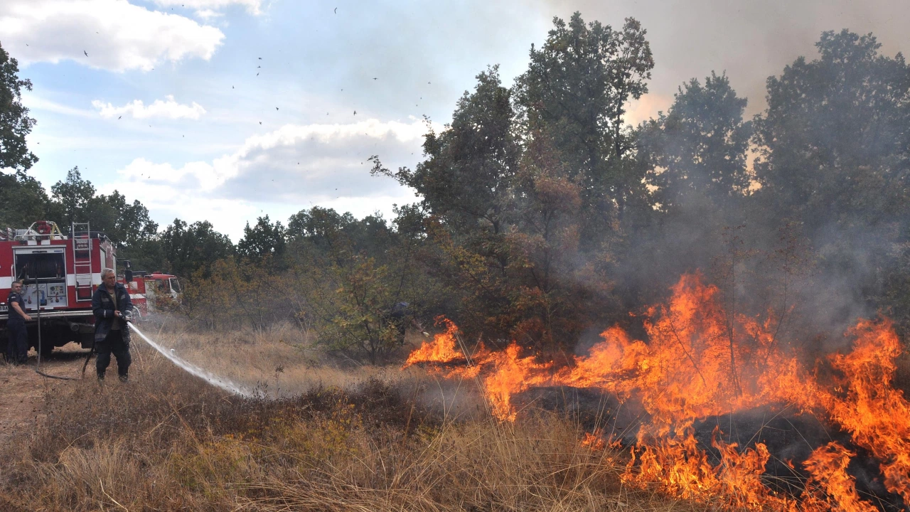 Пожар е избухнал преди минути в Родопите Борова гора гори