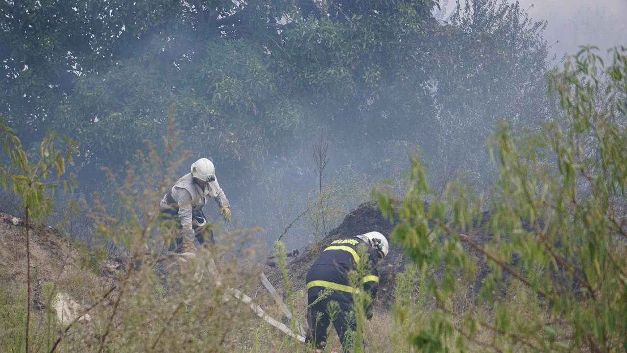 Потушен е пожарът край асеновградското село Добростан съобщиха за БТА