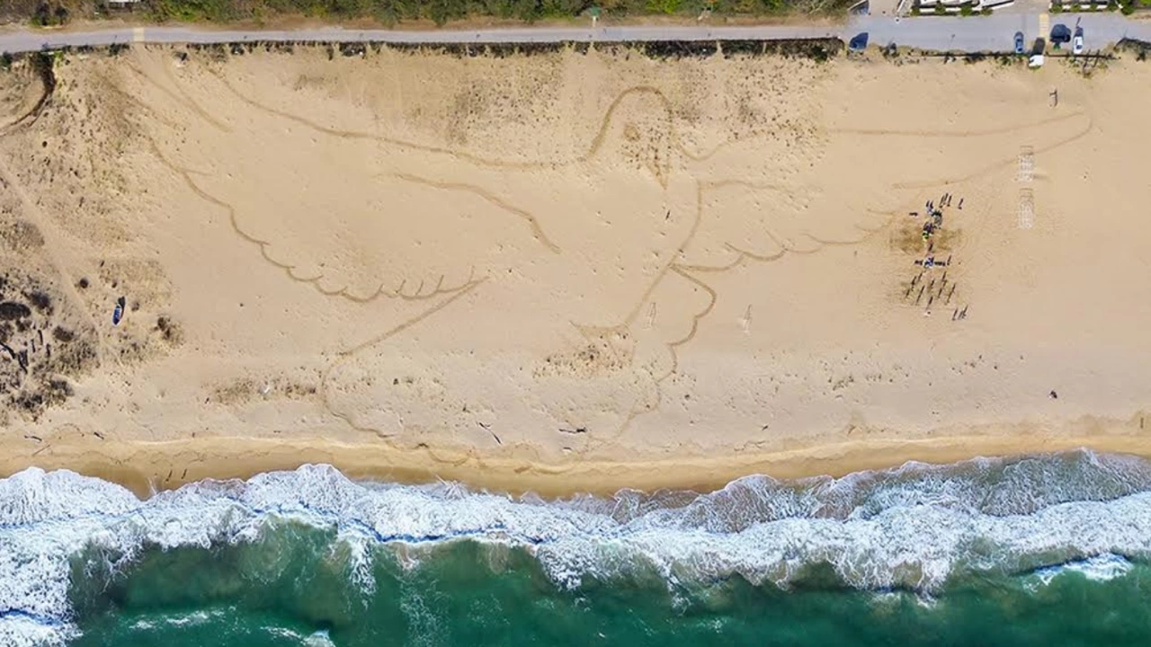 Гълъб с огромни размери на брега на Камчия е вече