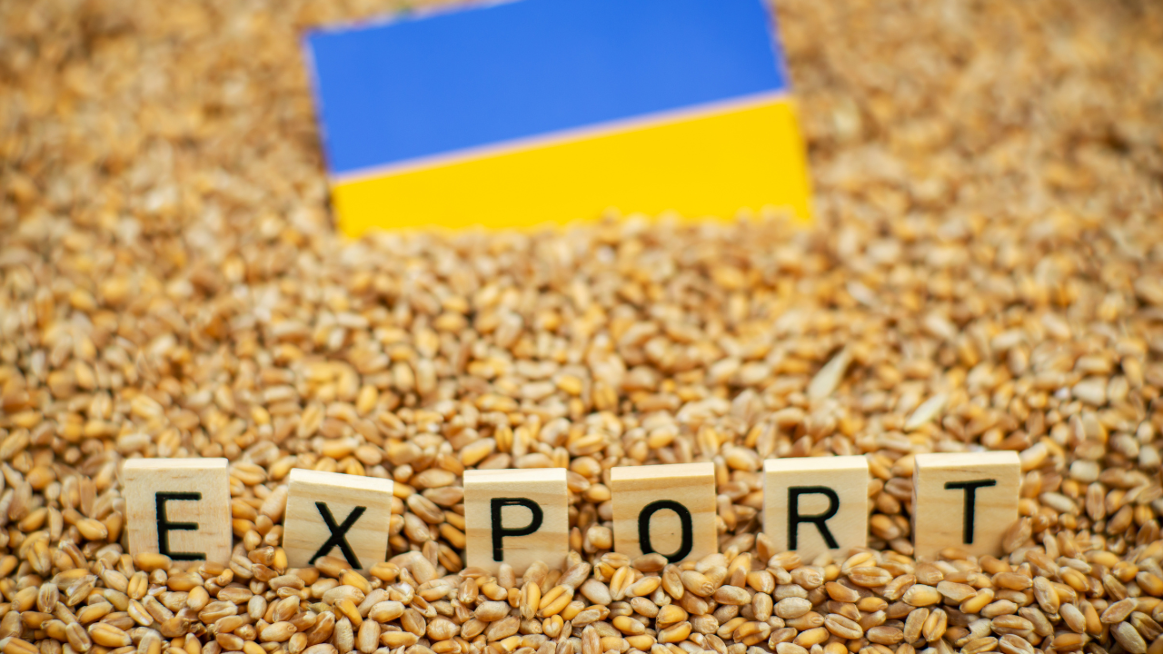 Заради украинския внос: Кабинетът "Денков" ще бъде подложен на синхронизирани атаки