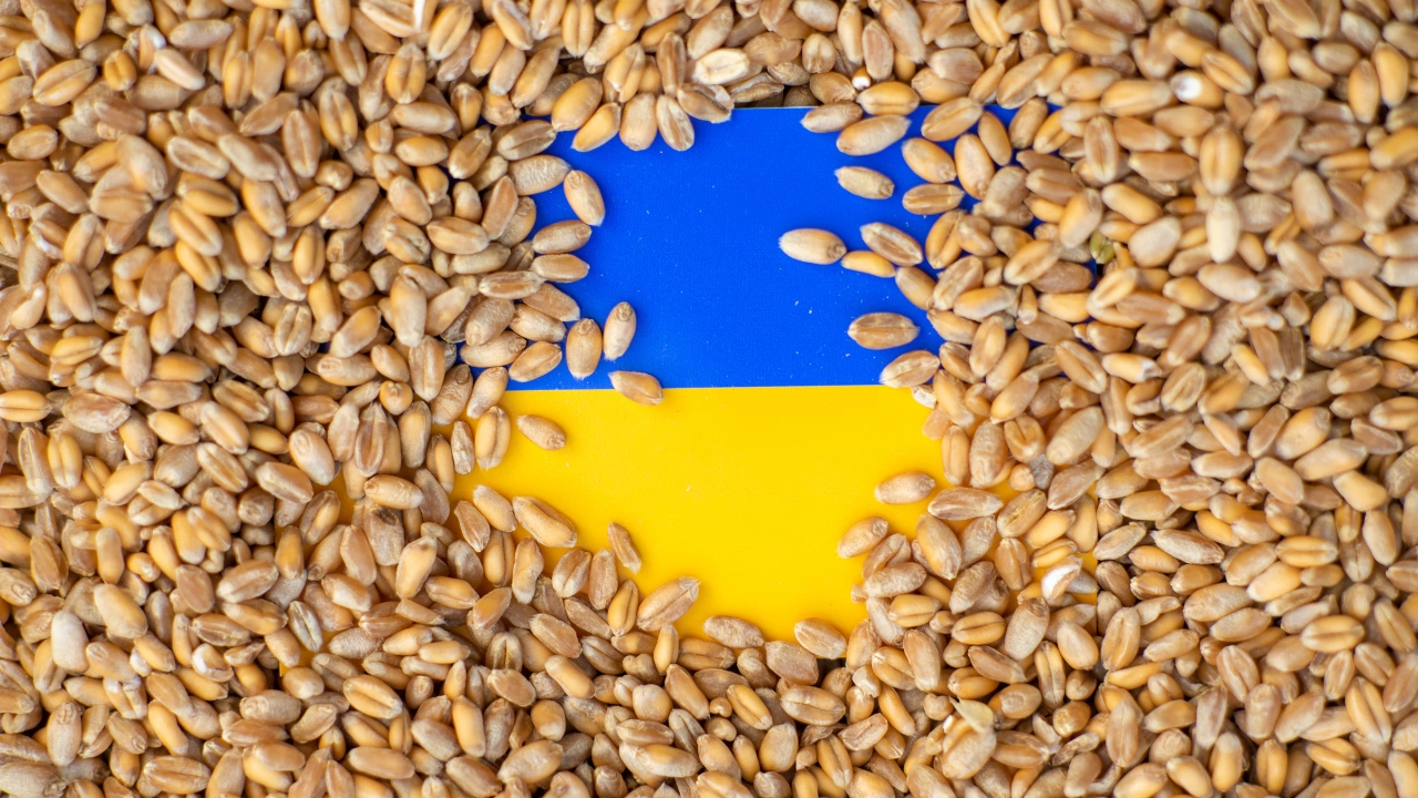 Забраната за внос на украинско зърно беше абсолютно неоснователна За
