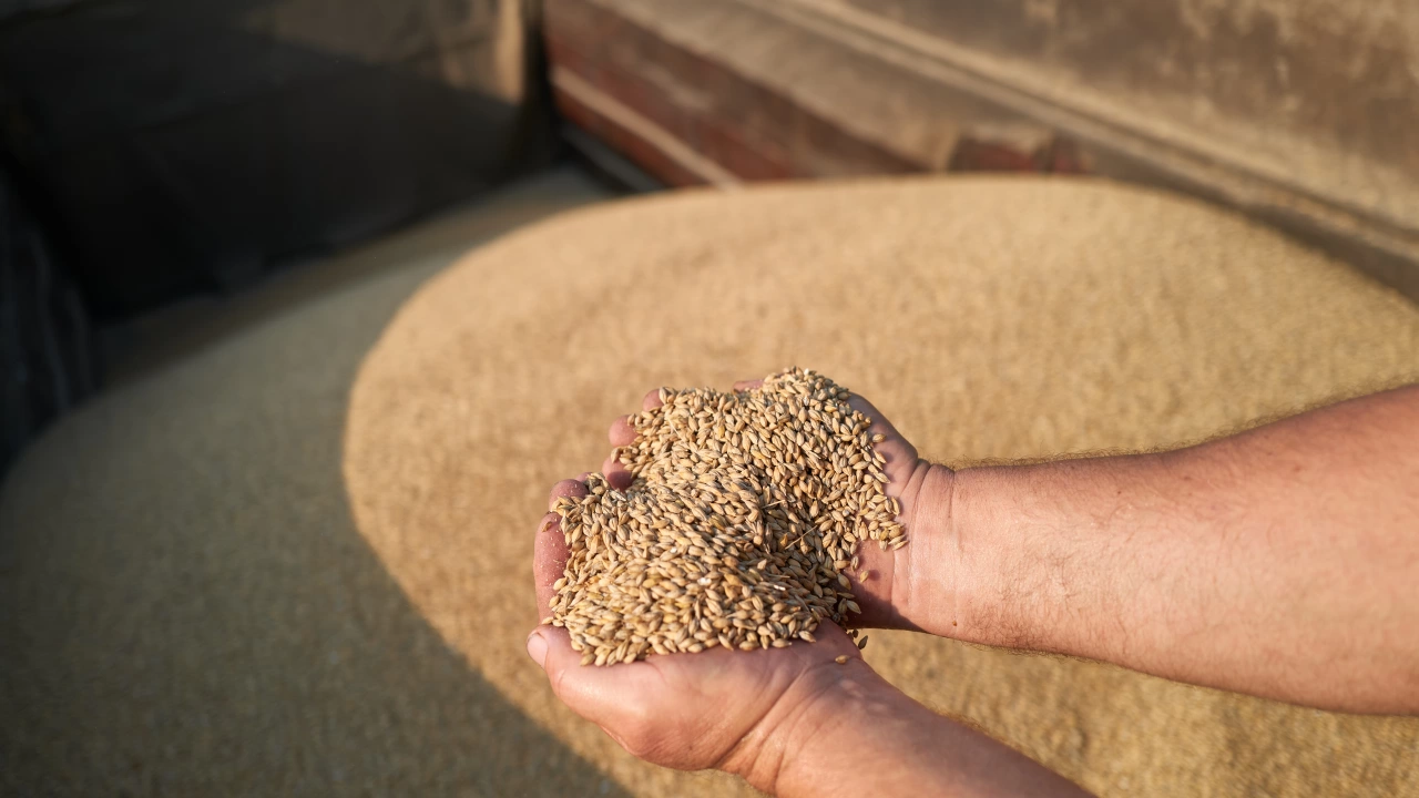 Украйна е доставила 9 2 милиона метрични тона зърно през румънското