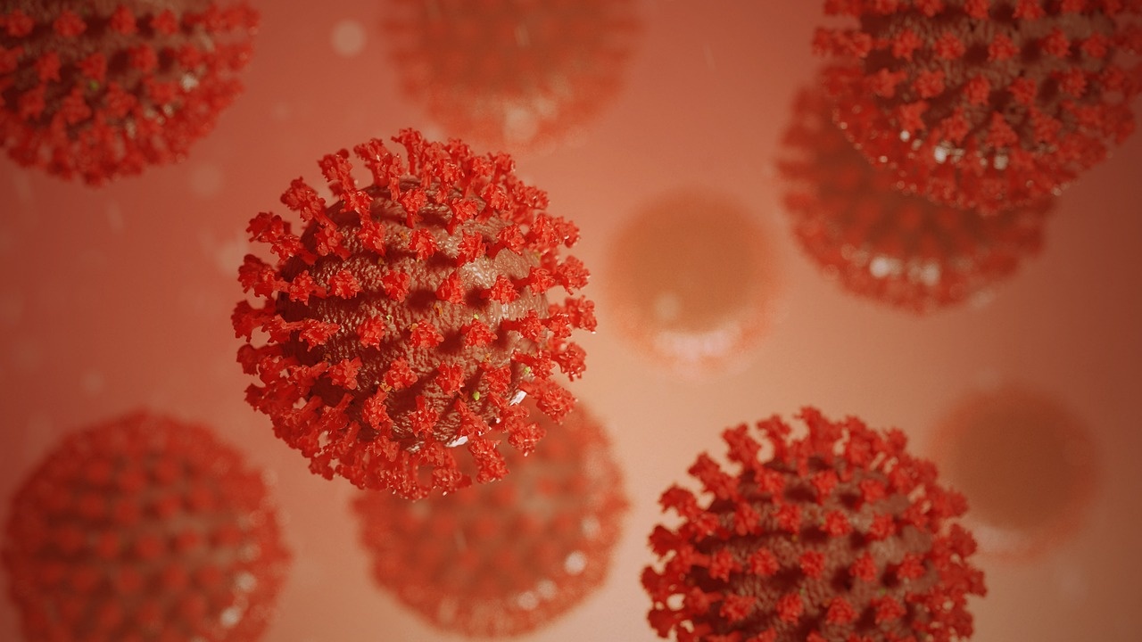 Новите потвърдени случаи на коронавирус у нас за последното денонощие са 26
