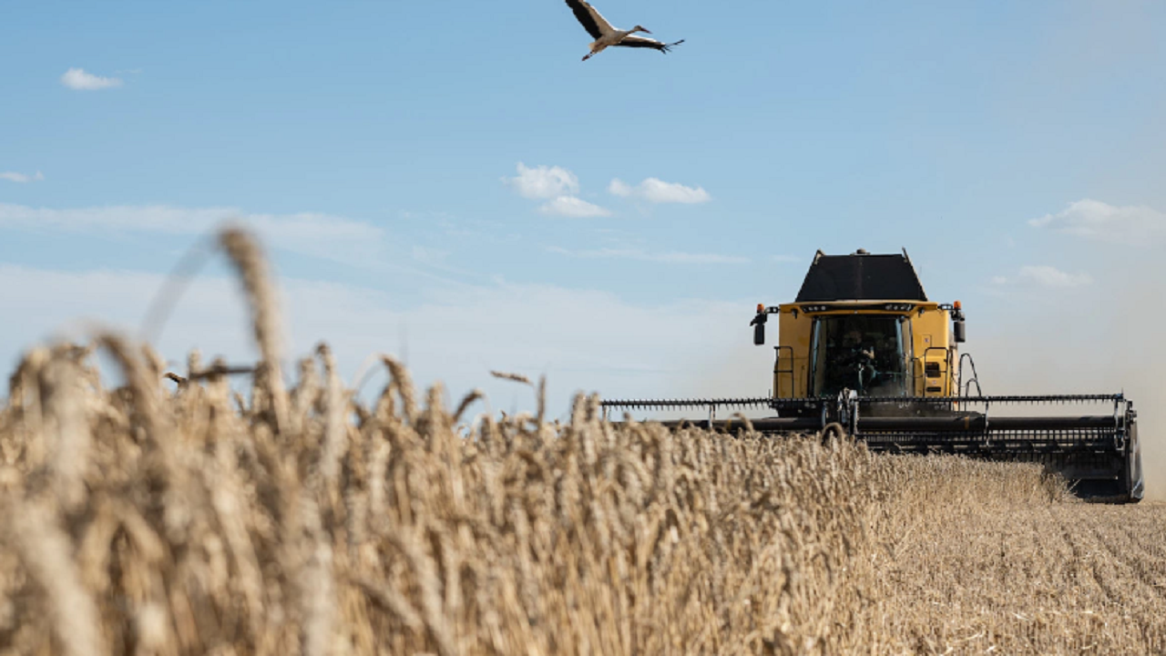 Украйна подала оплакване пред СТО срещу Полша, Унгария и Словакия за забраната за зърно