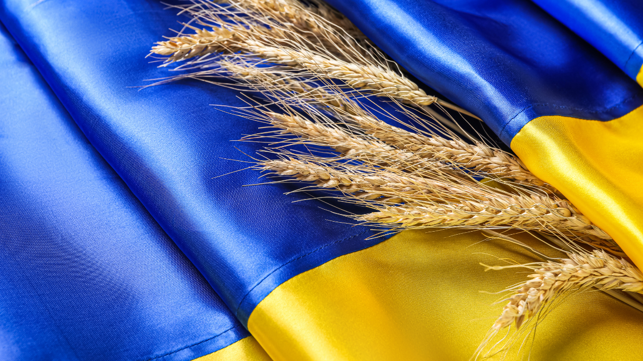 ЕК: Украинският земеделски внос отговаря на всички европейски изисквания за качество