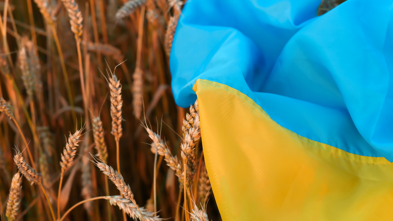 Киев преговаря с ЕК и съседните членки от ЕС за отваряне на пазарите им за украинско зърно