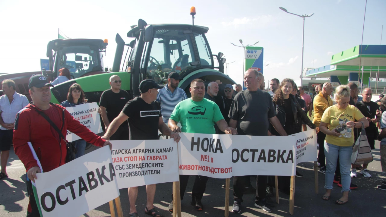 Столична община въвежда промени в организация на движението в София