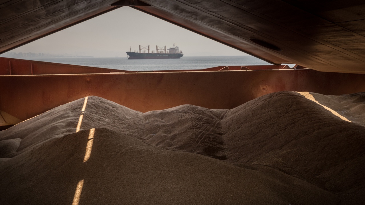 Украински кораби със зърно намират убежище по румънските брегове на река Дунав