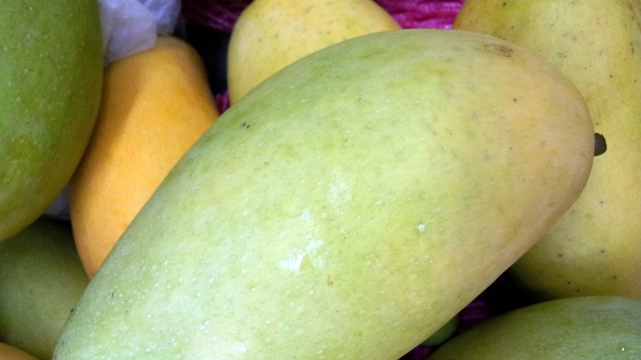 Производството на манго в Италия расте на фона на затоплянето на климата