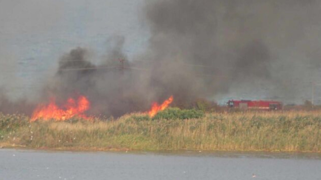 Пожар гори край Атанасовското езеро в Бургас, издирват се двама мъже