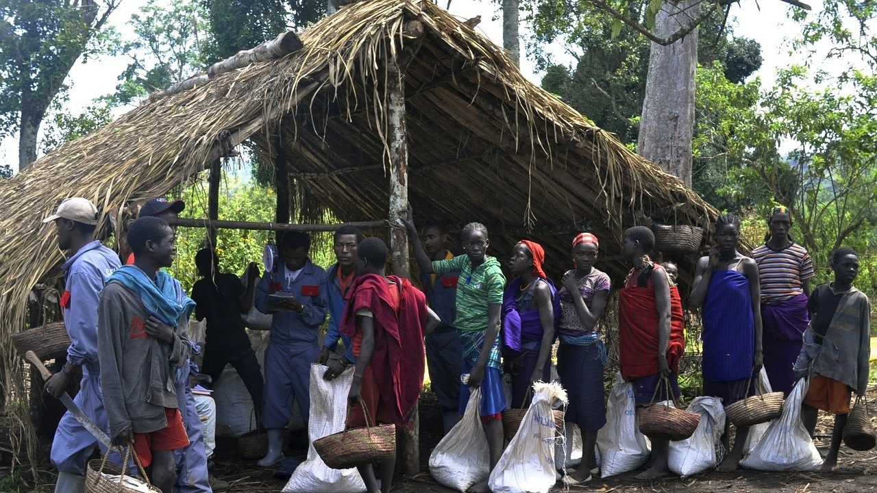 Американската агенция за международно развитие (USAID) заяви, че възобновява някои