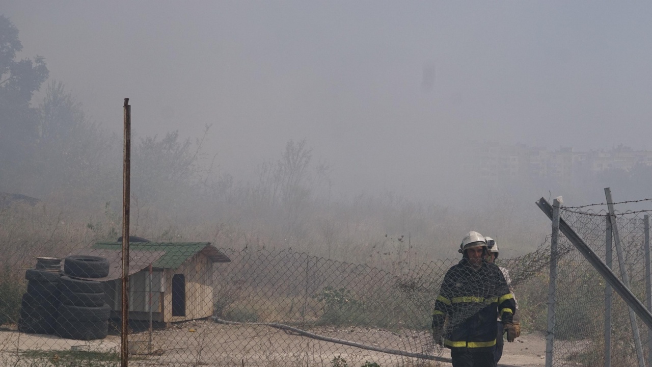 Голям пожар изпепели лозя и стърнища край Бяла Слатина