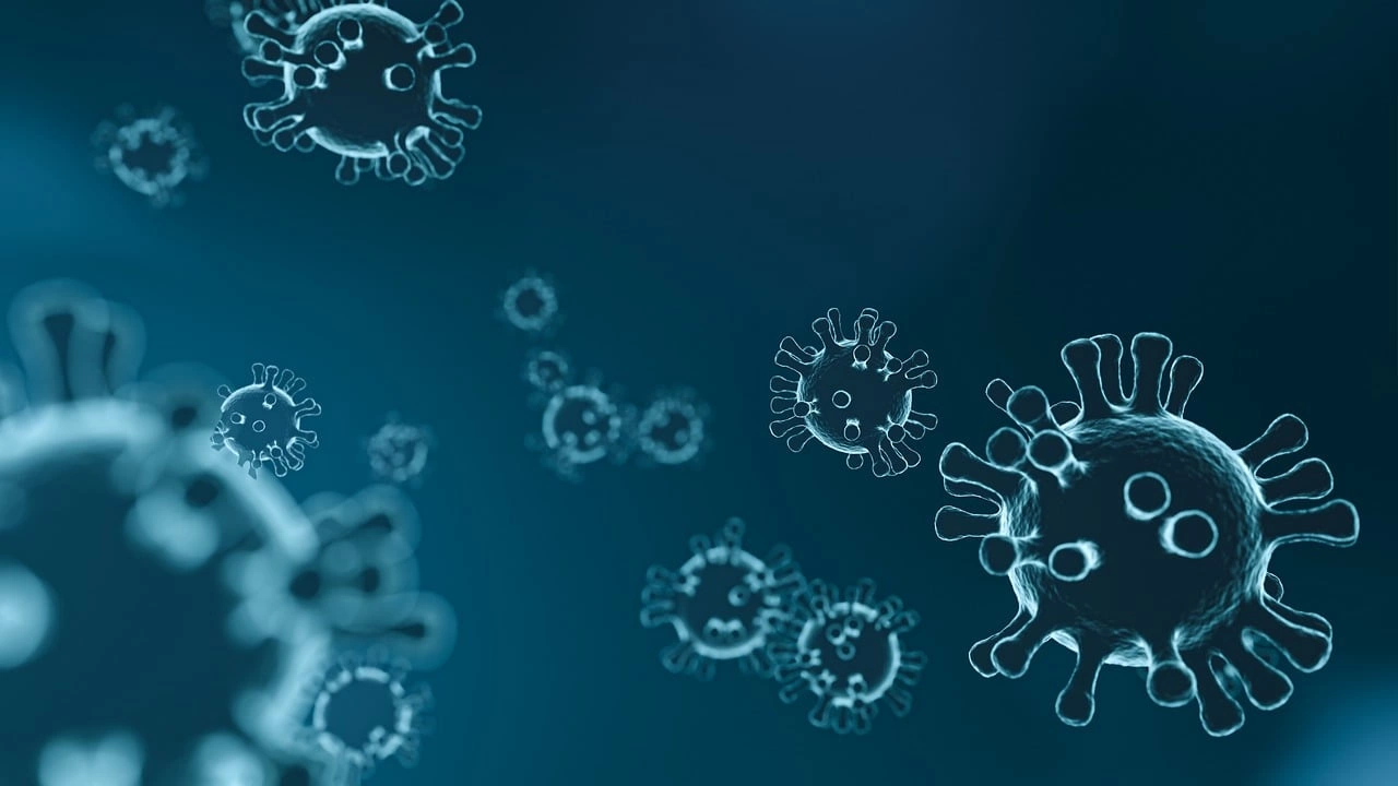 Осемдесет и седем нови случая на коронавирус са били регистрирани