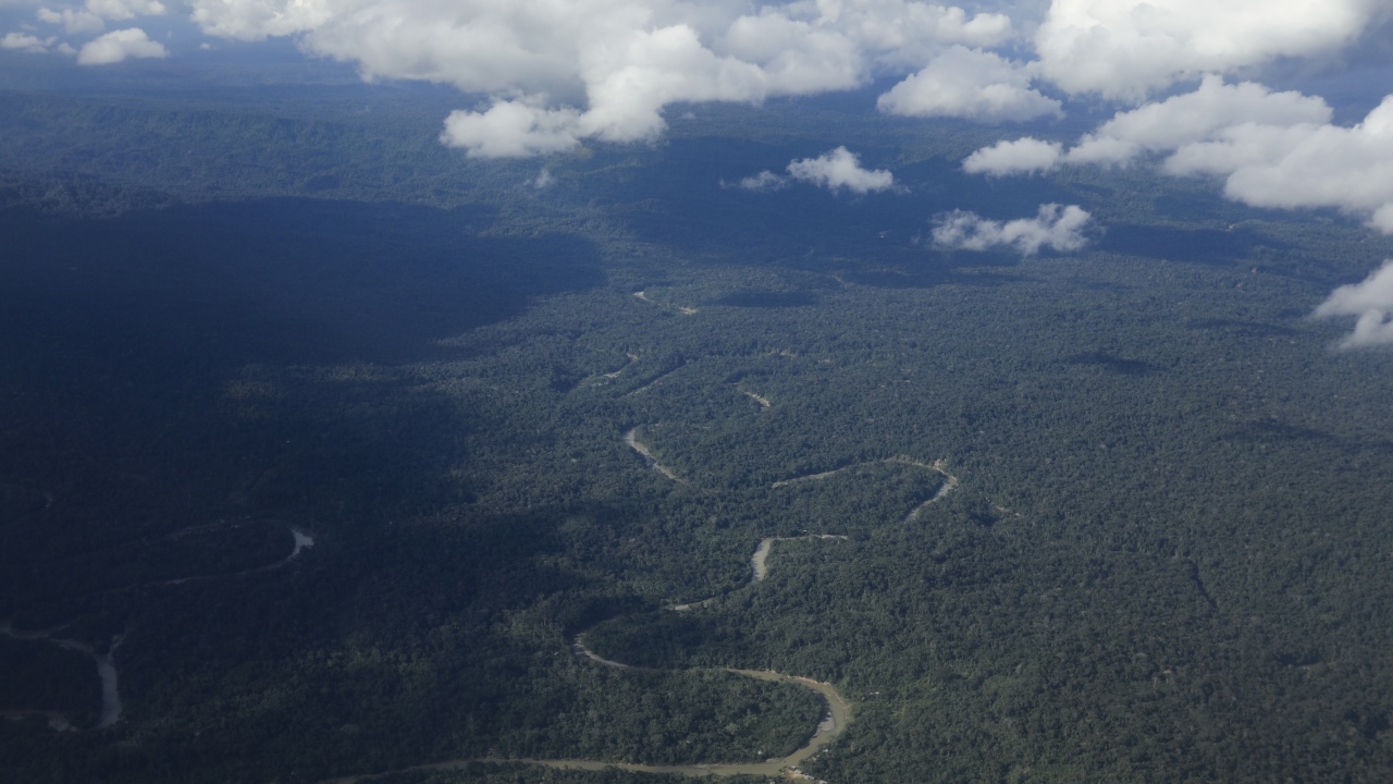 Нивото на река Амазонка падна до най-ниското си ниво за последния един век