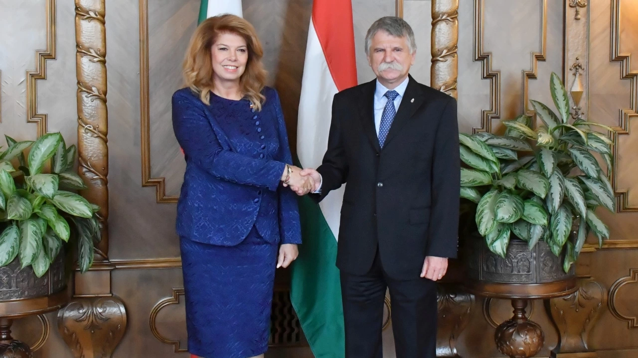 Вицепрезидентът разговаря в Будапеща с председателя на унгарския парламент Ласло