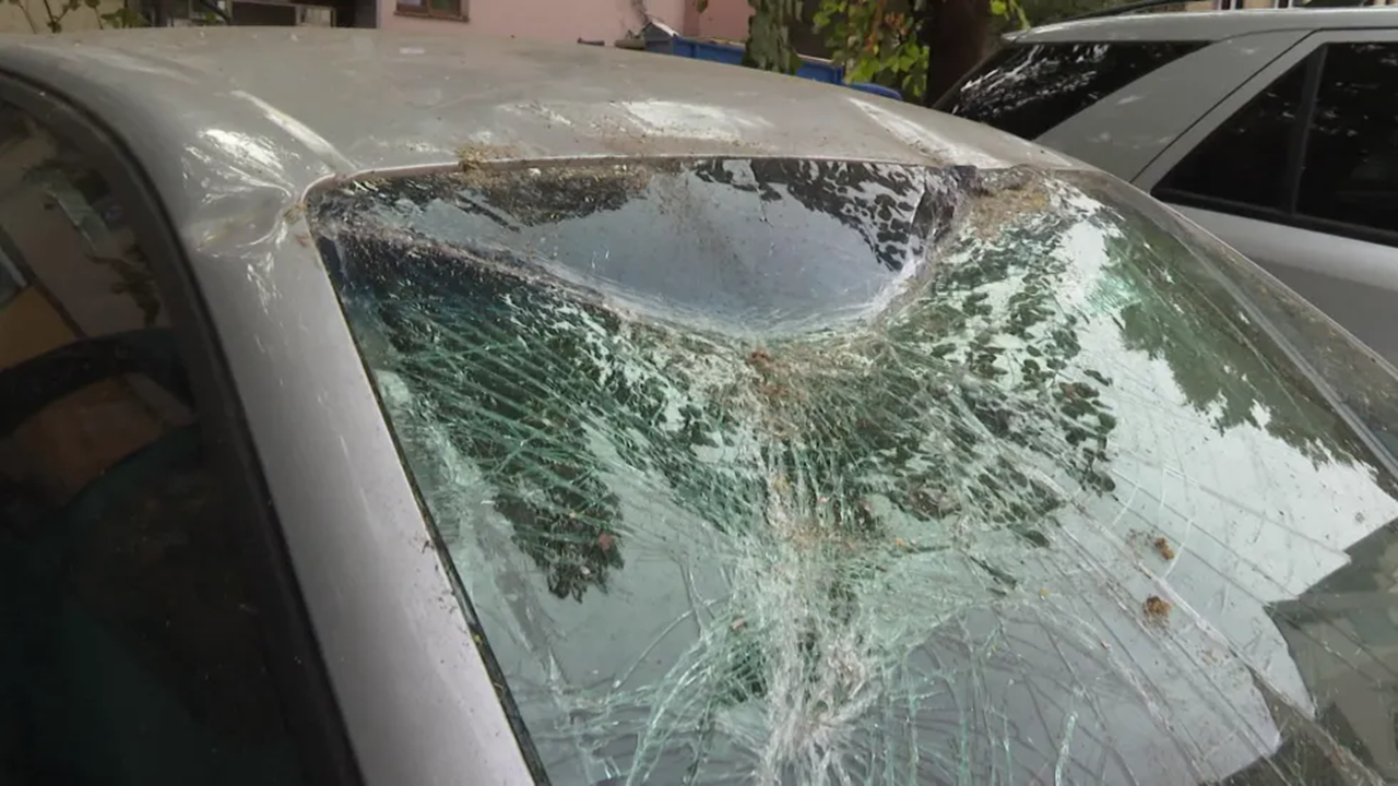 Дърво падна и потроши 10 коли на ул. Горазд“ в Пловдив.