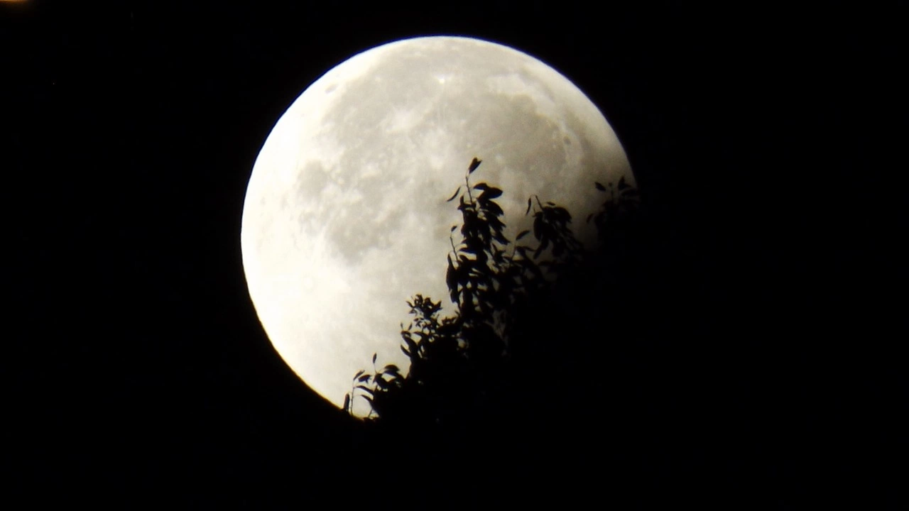 На 28 октомври късно вечерта се случва небесното явление лунно