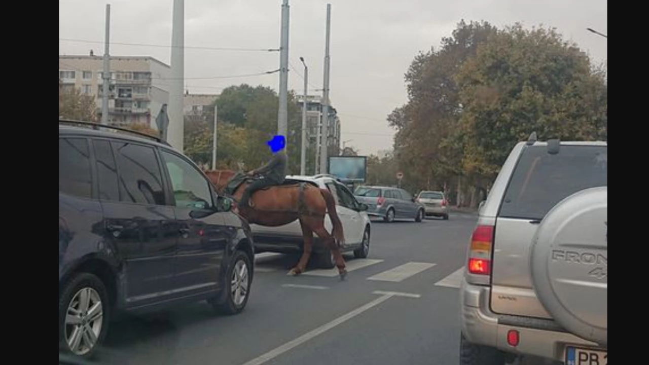 Куриозна гледка изненада шофьори на кръгово кръстовище Дете на кон