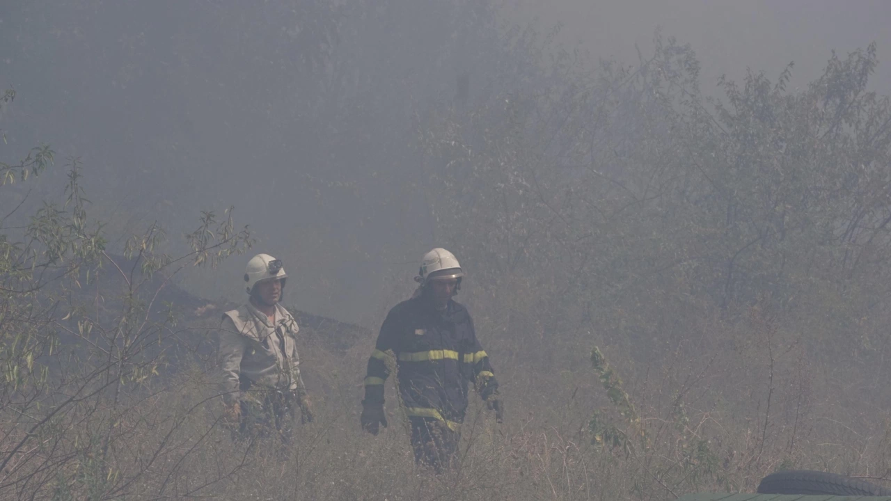 При пожар в местността Равнището под връх Тодорини кукли в