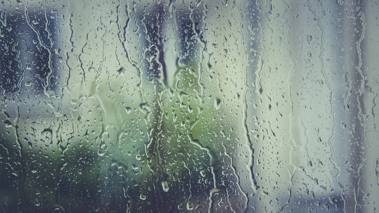 Жълт код за значителни валежи в Западна България и силен