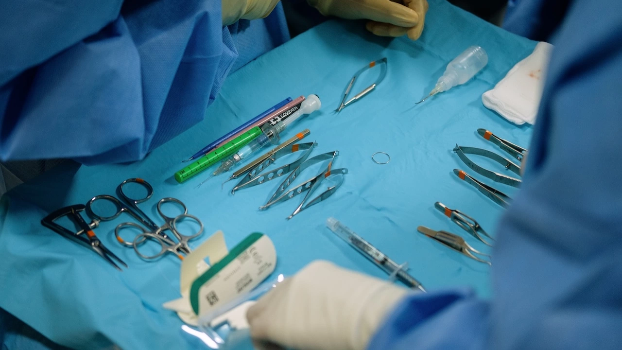 Болница в Ню Йорк успя за първи път да трансплантира