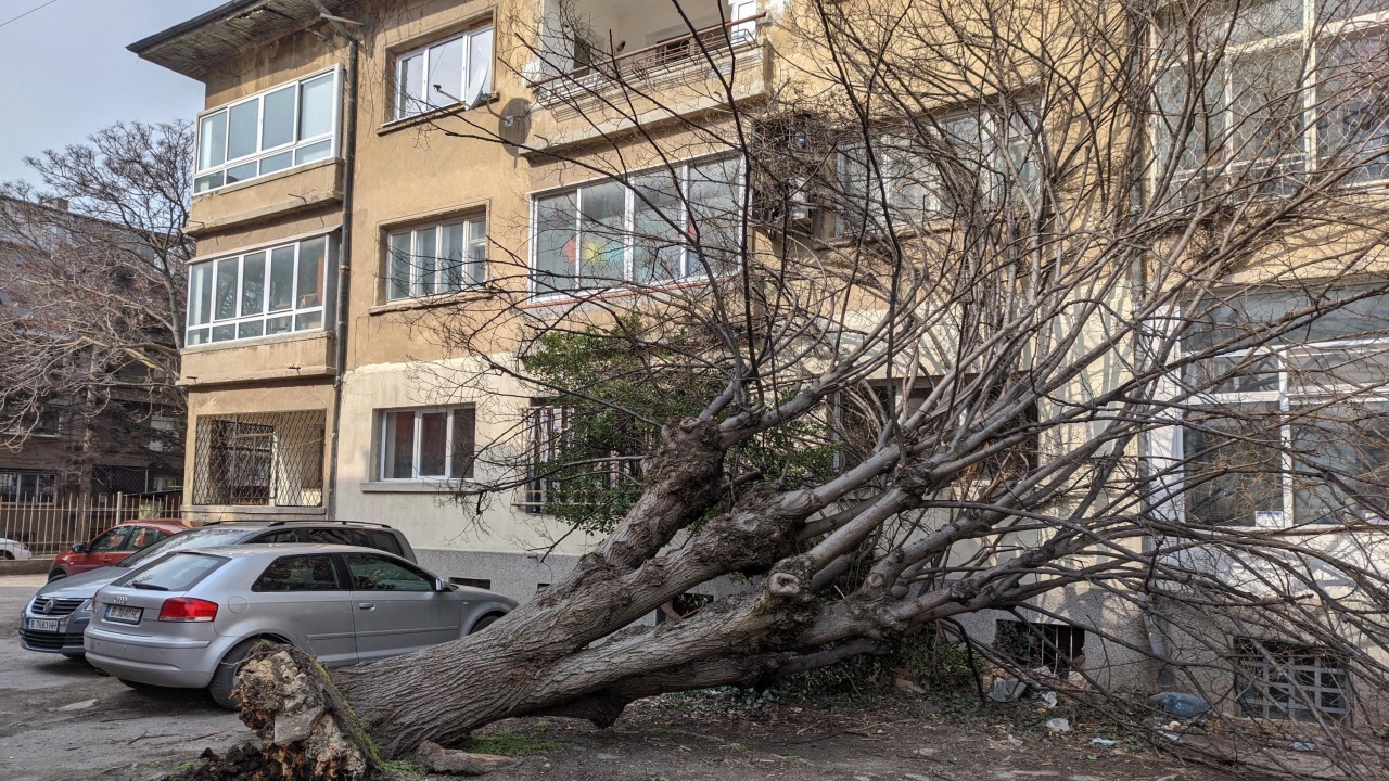 Заради ураганния вятър: Бедствено положение във Варна