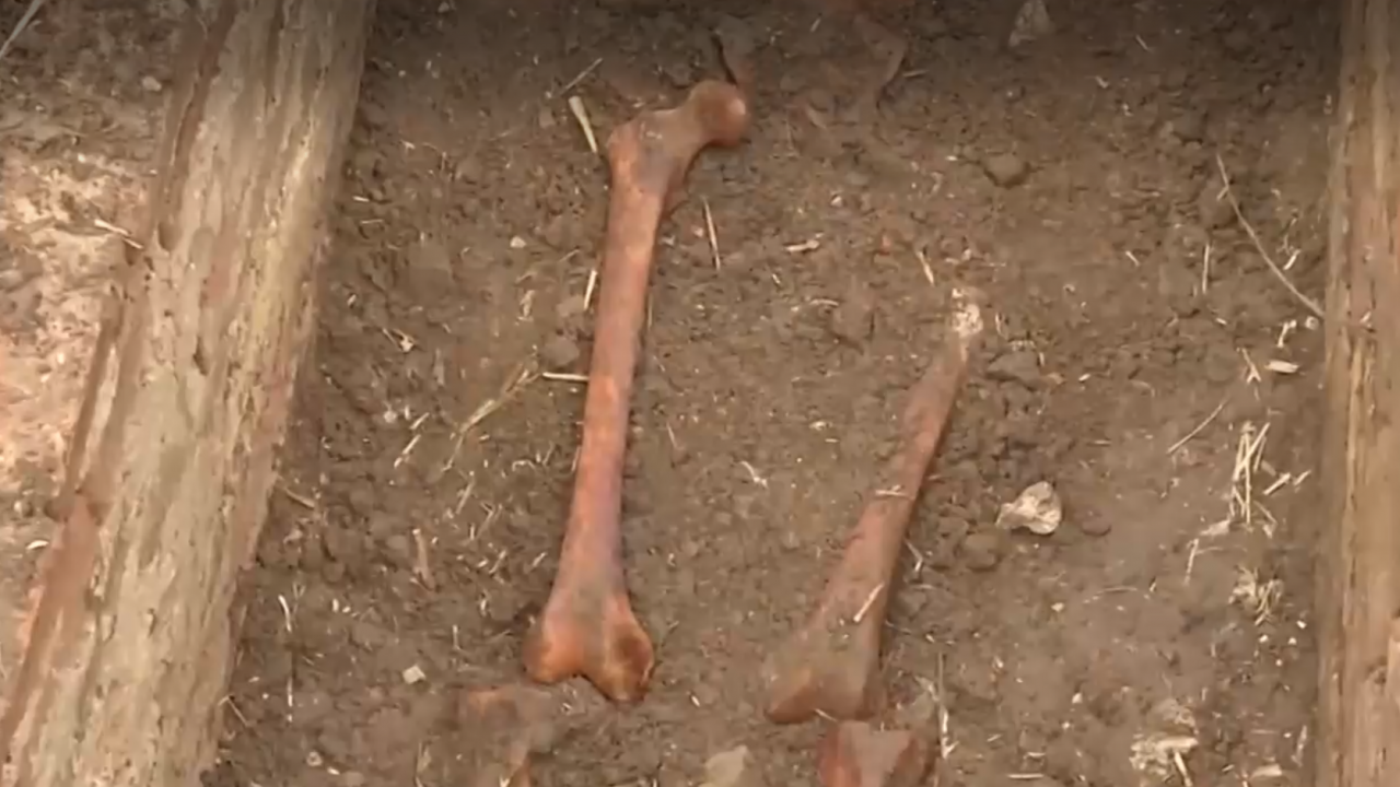 Тракторист разкри некропол край Попово, докато обработва почвата с плуг.
