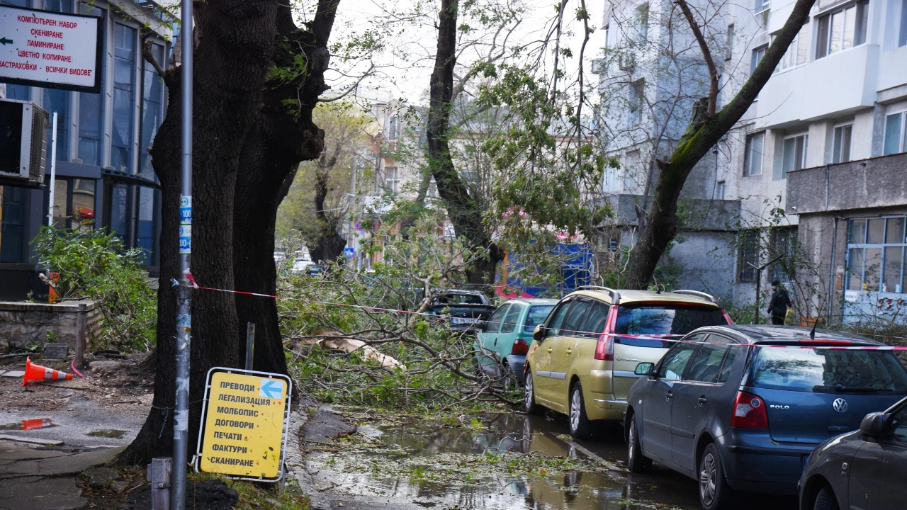 Бедствено положение в редица общини в Източна България след ураганния