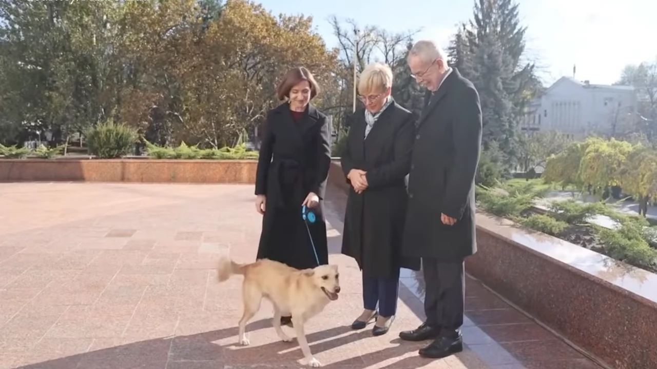 Кучето на молдовския президент Мая Санду ухапа леко по ръката