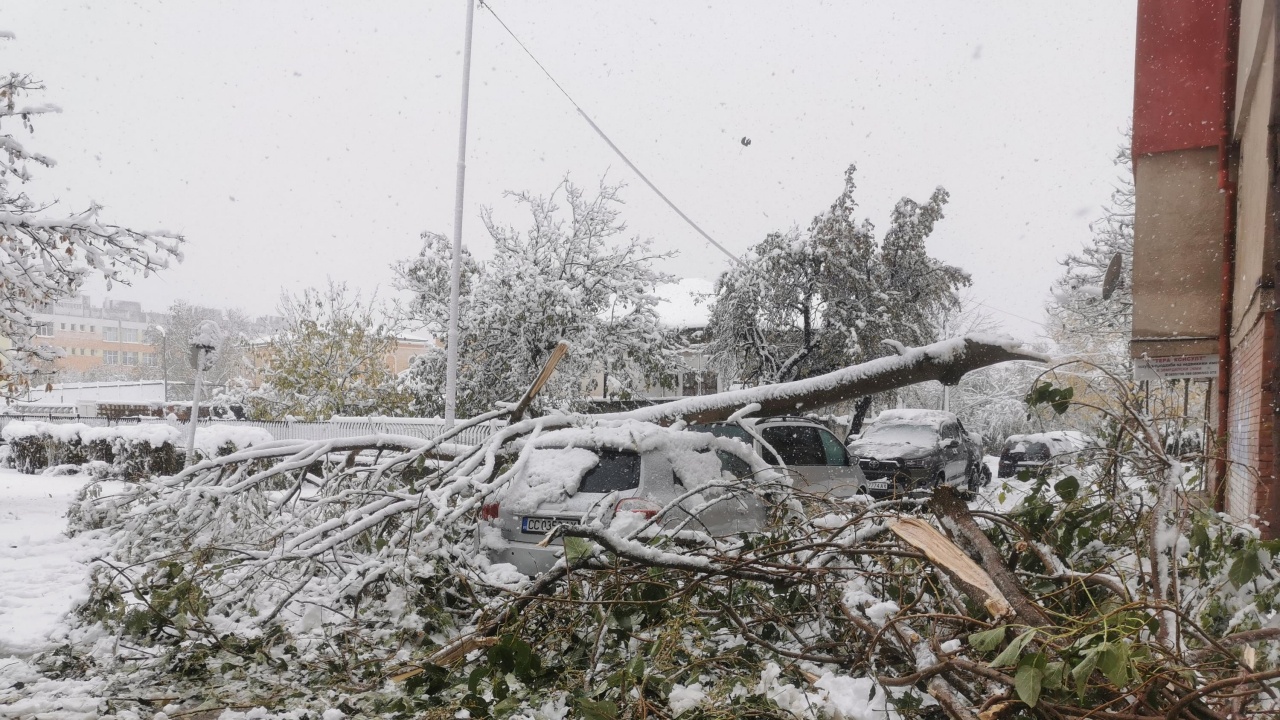 България попадна в снежен капан - населени места са без