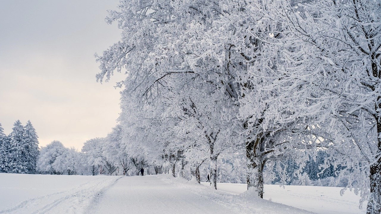 Властите в руската столица в Москва информираха за обилен снеговалеж