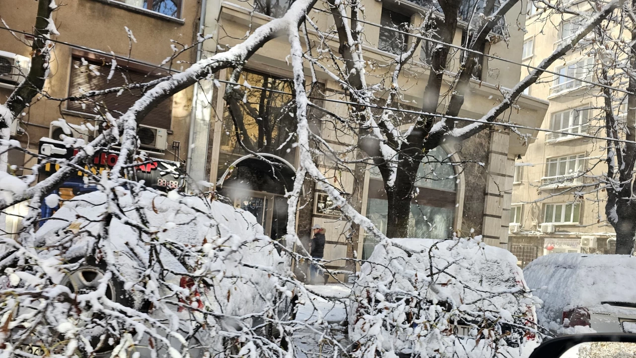Първият сняг очаквано изненада всички български институции и служби на