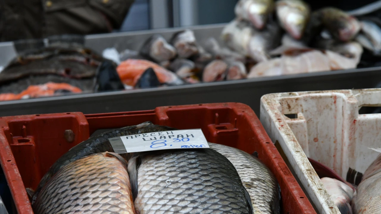 На Никулден засилени проверки за качеството на рибата по