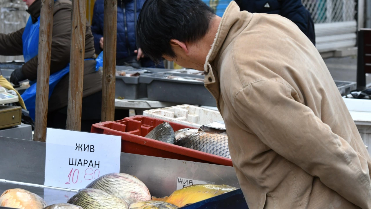 През днешния ден цената на шарана в Самоков варира в