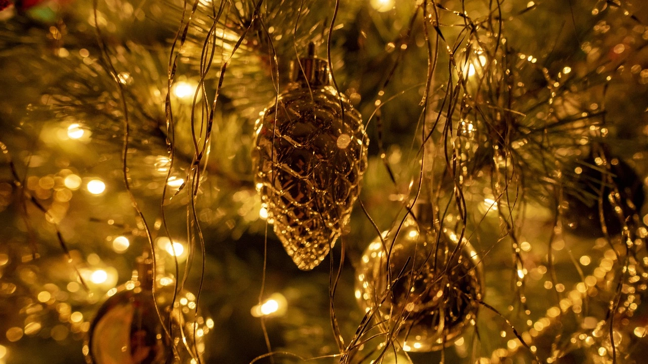 Коледната елха в Ямбол грейва на 11 декември Празничното запалване