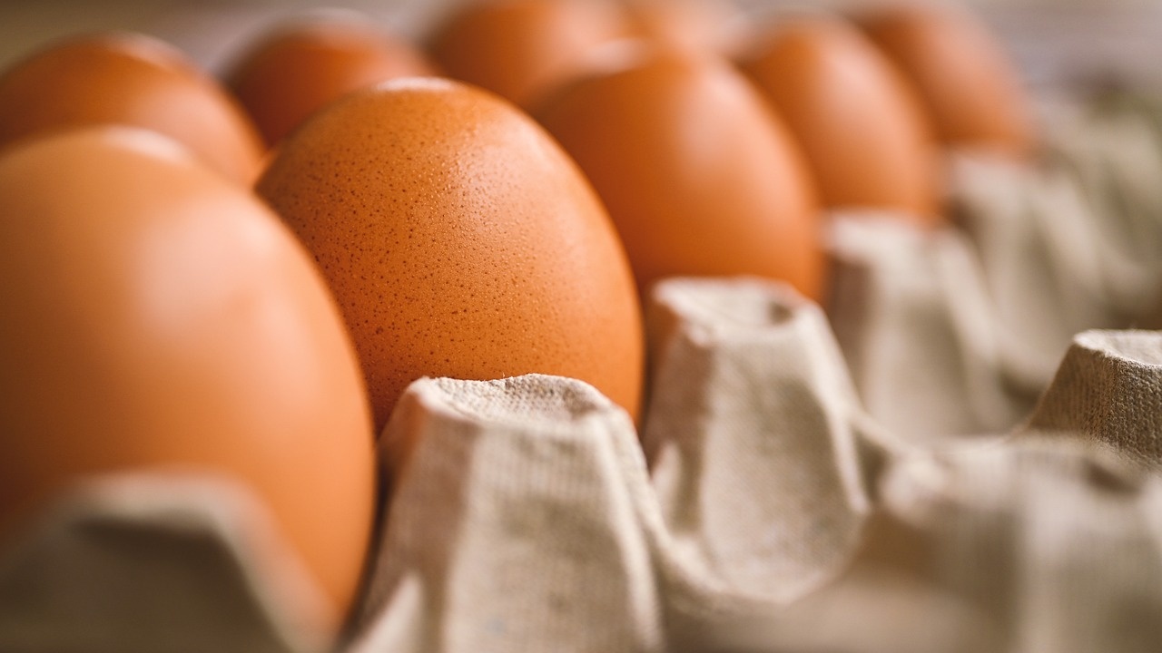 Руското икономическо министерство обяви, че вносът на 1,2 милиарда яйца