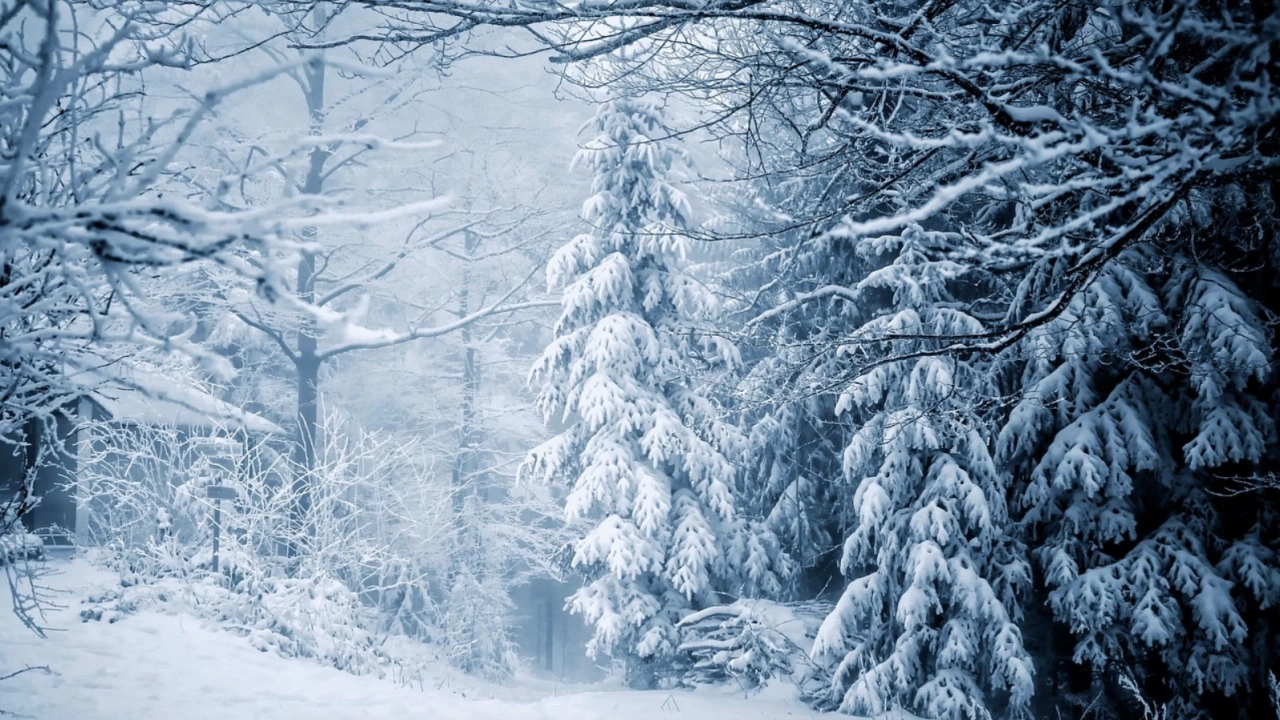 Обилният сняг в планините и в Южна България затрудни движението