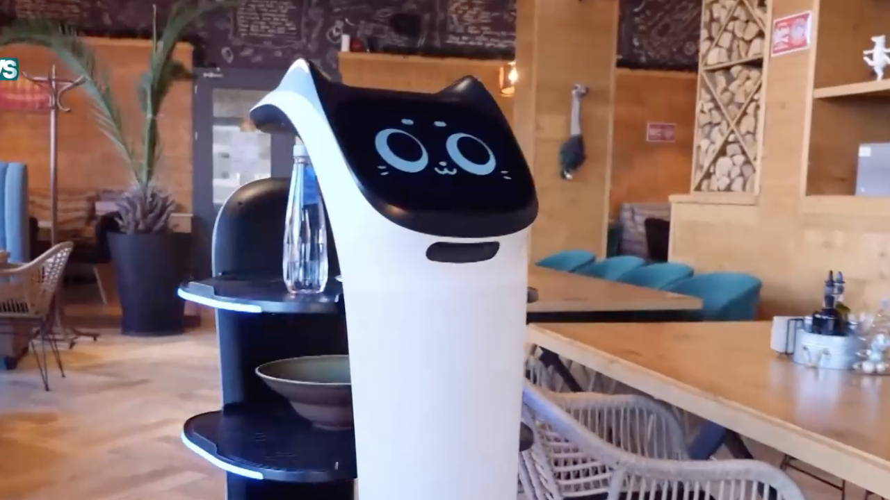 Първият робот-сервитьор в Пловдив вече е факт. Новата технологична иновация
