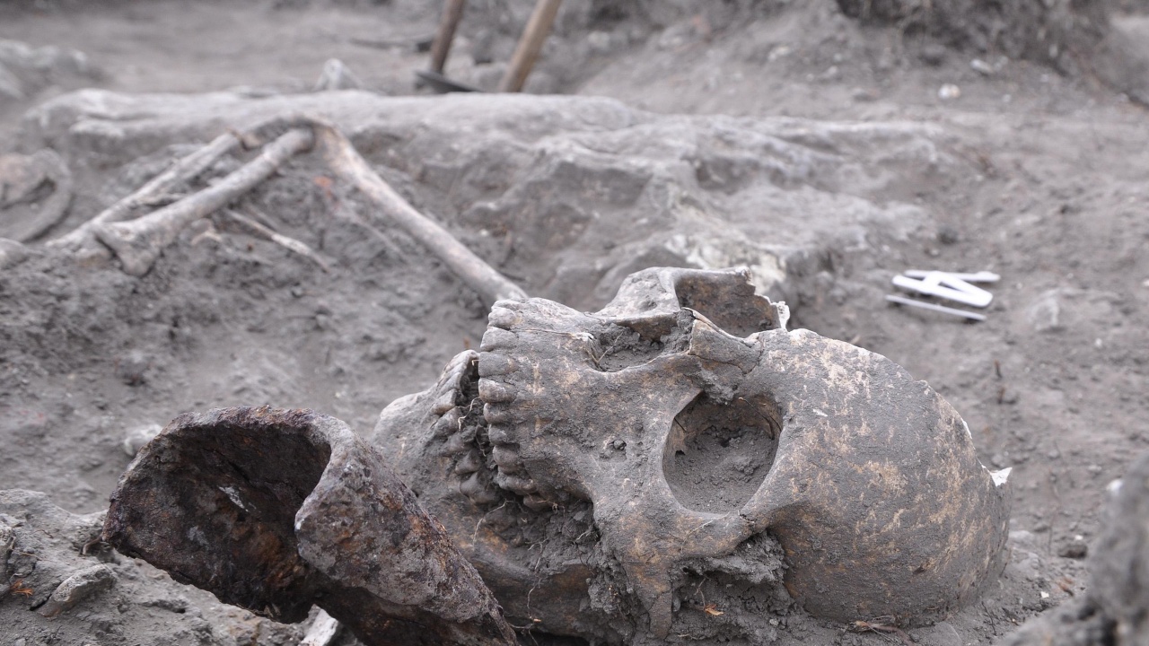 Необичайни скелети, черепи и монети откриха в Стара Загора. Към този момент