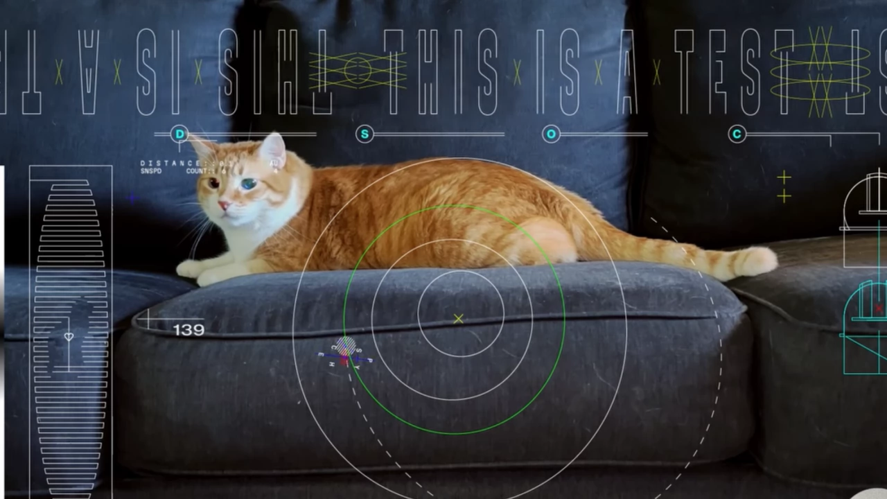НАСА засне видео с котка както правят много почитатели на