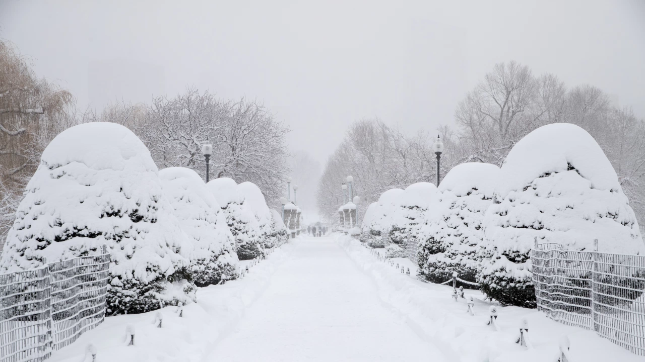 В южнокорейската столица Сеул вчера бе регистриран най големият снеговалеж за