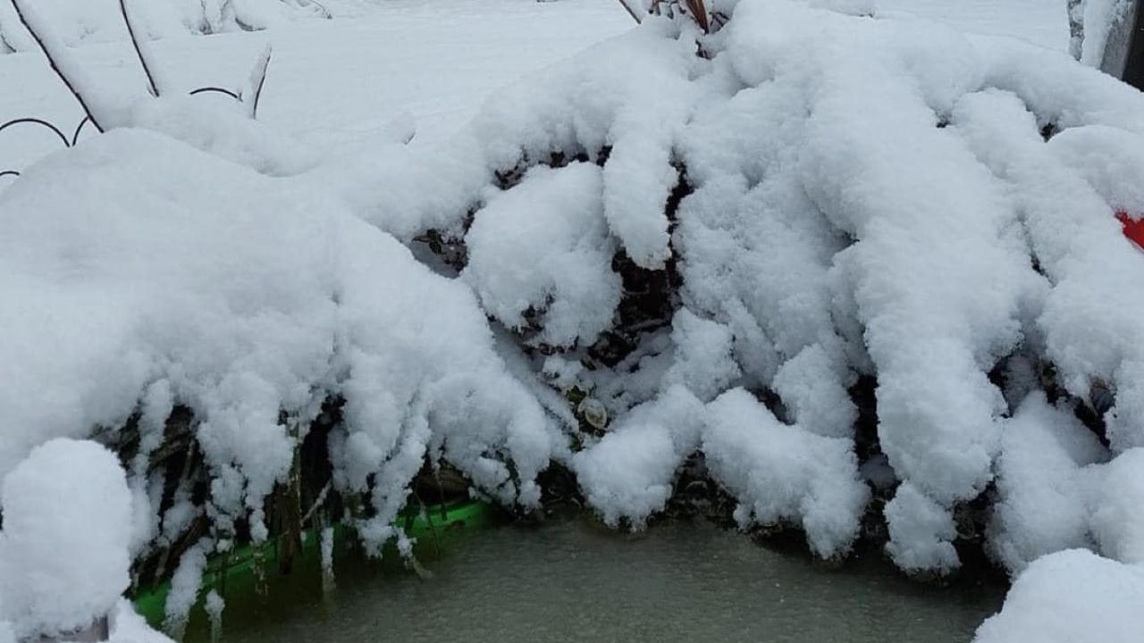 Зимата вече стъпи на Балканите.
Meteo Balkans показа снимки от Загреб, Джурджевац