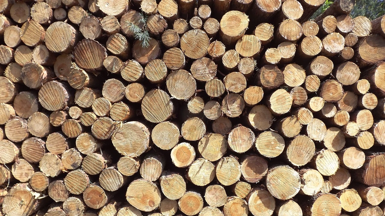 Пет кубика немаркирани дърва от вида Дъб установиха полицейски служители