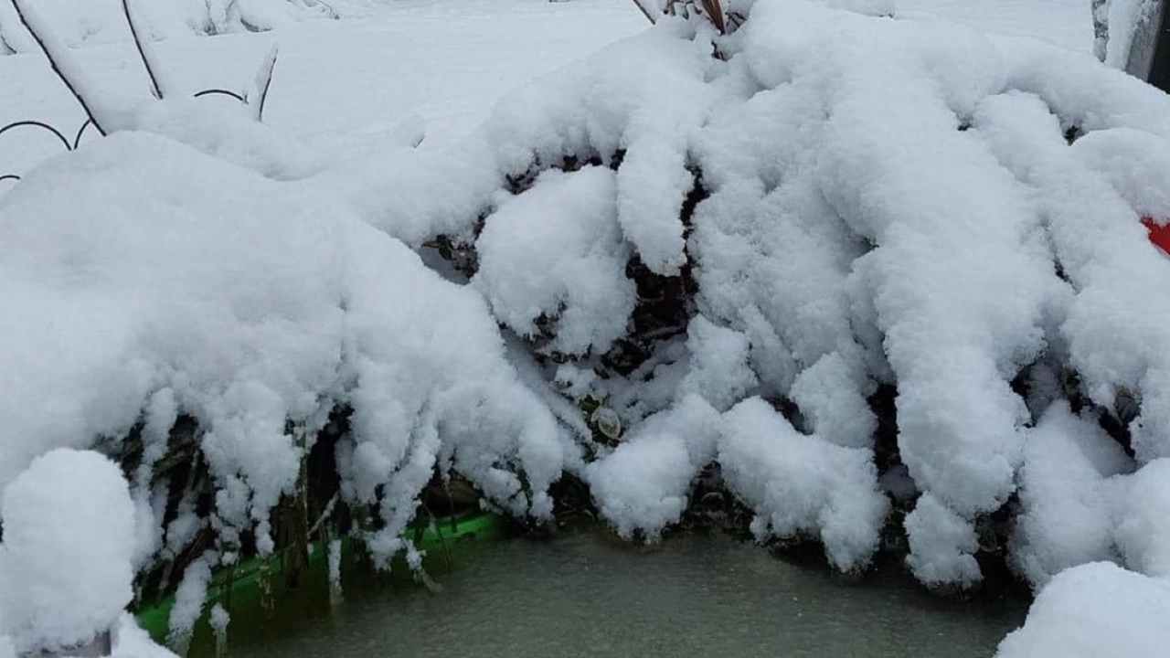 Зимата вече стъпи на Балканите Meteo Balkans показа снимки от Загреб Джурджевац