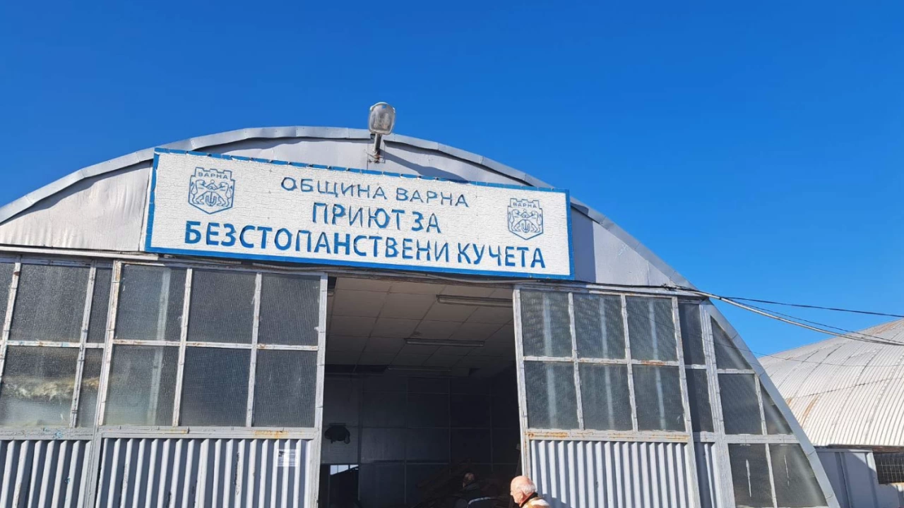 Кметът на Варна посети общинския приют за безстопанствени кучета в