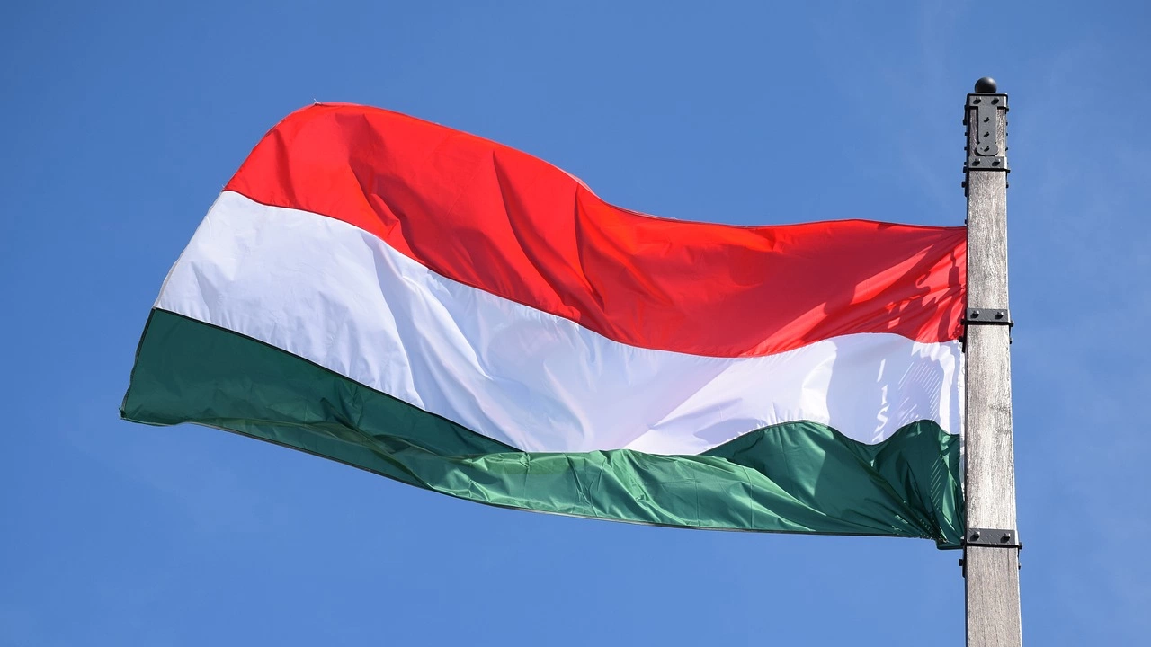 Унгарската крайнодясна партия Движение Наша родина може евентуално да предяви