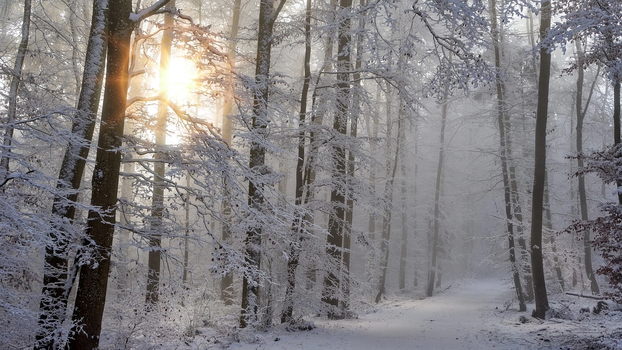 Пътищата към селата в Странджа са проходими при зимни условия