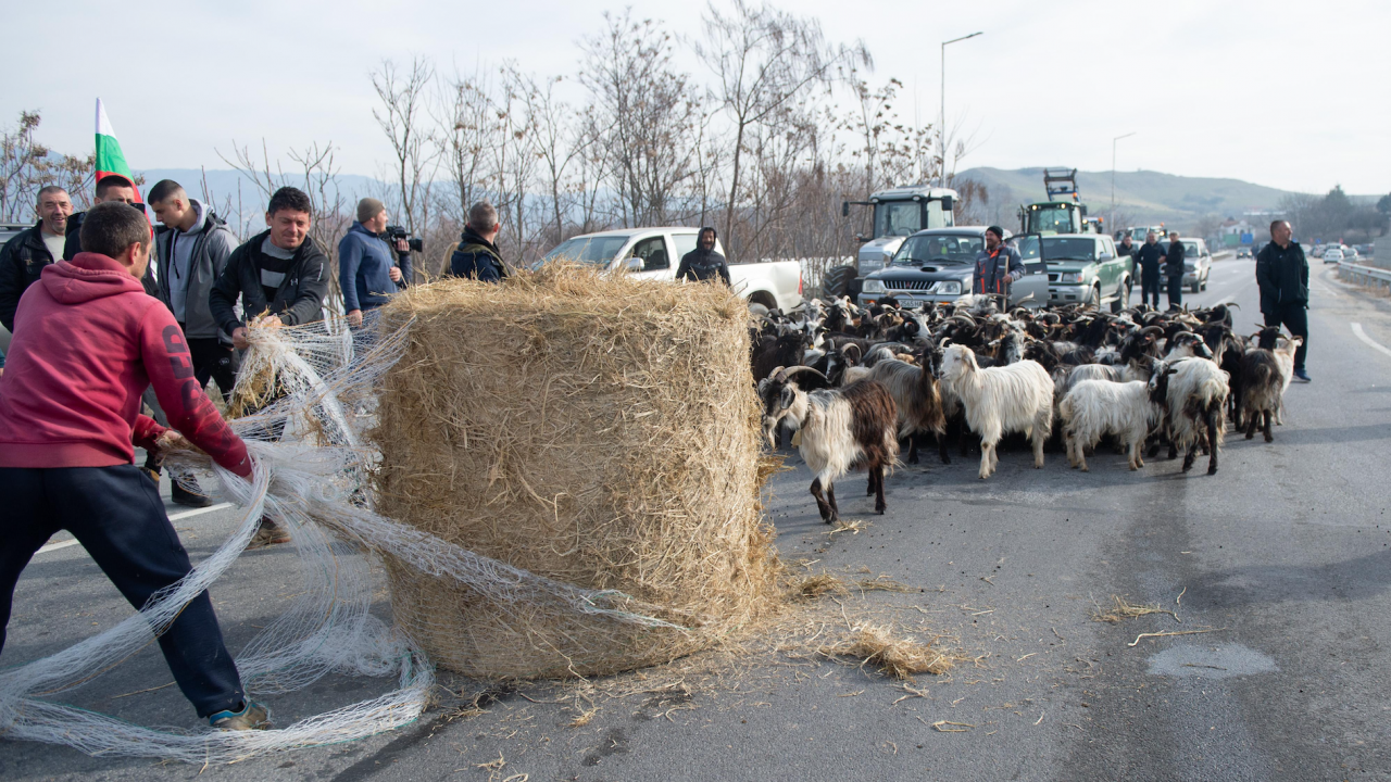 Митинг-шествие се провежда край село Ново Делчево. Животновъди и земеделци